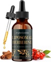 Liposomal Berberine טיפות תוספת 3000mg - High Absorption AMPK Activator, אורגני Berberine HCl Complex עם Ceylon Cinnamon & ג'ינג'ר עבור Immune & Digest (2 fl oz)
