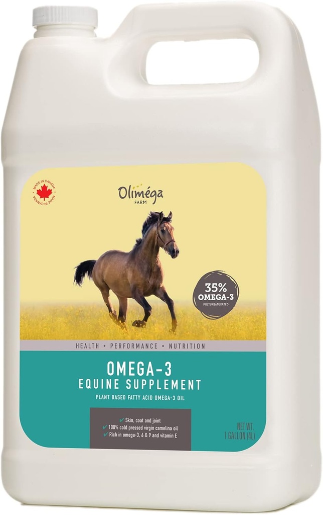 שמן קמולינה לסוסים, 1 גאלון על ידי Olimega Farm | גבוה אומגה 3 & ויטמין E | תמיכה בשיתופים בריאים, קואט & Skin | Pure & Cold Pressed | תוסף משותף | Made in Canada | Non-GMO