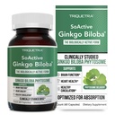 SoActive Genekgo Biloba עם גינקוס אלקטרונית Phytosome | Clinically Stud Enhanced Absorption for Brain, Heart & Memory Support - 180 מ"ג - מסייע לשמור על Circulation & Cognitive Health (60 קפסולות)