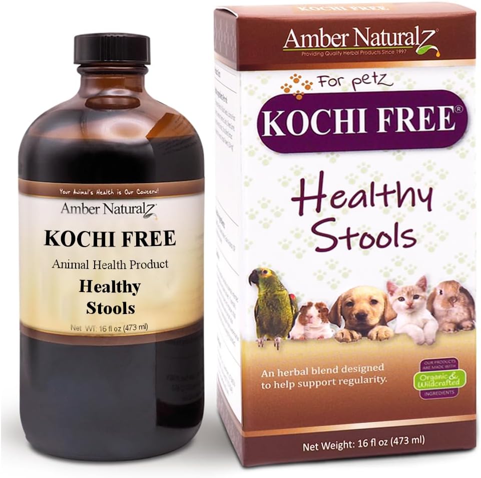 אמבר NaturalZ Kochi Free Herbal תוסף לכלבים, חתולים, ציפורים, ארנבים, וגינאה חזירים | תומך בתפקוד של Bowel בריא | סיוע טבעי לאיזון תזונתי | 16 Fluid Ounce Glass