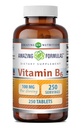 פורמולה מדהימה ויטמין B6 | 100 Mg ל- Tablet | Non-GMO | Gluten-Free | Made in USA (1 Pack, 250 Count)