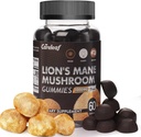 Lions Mane Mushroom Gummies for Nootropic Brain Supplement, Immune Support,Stress Relief Mushroom תוסף Berrry Flavor 60 Count