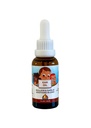 Punkin Butt Baby Ear Oil | אורגני Garlic, Mullein, Calendula אוזניים טיפות בטוח לתינוקות (1 oz)