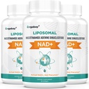Orgabay Liposomal NAD+ תוספת של 500 מ"ג, High Absorption, Boost NAD+ עם TMG 250 מ"ג, Actual NAD Plus More Efficient Than Nicotinamide Riboside, תמיכה באנרגיה סלולרית, הזדקנות בריאה | 180 Softgels
