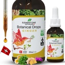 טיפות בוטניות טבעיות - ג'ינג'ר ו- Digestive Enzymes in a Organic Formula for wideve Wellness, Support Immune System, Promote Inflammation Relief, and Enhance Blood Circulation (50 מ"ל)