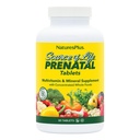 Natures Plus Source of Life Prenatal - 800 mcg Folate, 90 טבליות צמחוניות - All Natural Prenatal ויטמין & מינרלים עם Iron & Calcium - בריאות אופטימאלית ואנרגיה - Gluten-Free - 45 משרתים
