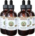 Hibiscus Alcohol-Free Extraction, אורגני Hibiscus (Hibiscus Sabdariffa) Dried Flower Glycerite הוואי Pharm טבעי צמחייה 4x4 oz