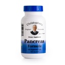 הפורמולה המקורית של כריסטופר Pancreas פורמולה - Pancreas ניקוי Detox & Fix - Probiotics for Digestive Health