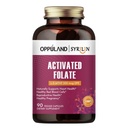 פעיל Folate-L 5-MTHF DFE תוסף - Methylfolate B9 MTHF עם ויטמין B12, CoQ10 ו Red Raspberry - Methylated L-Methylfolate עבור גברים ונשים - 500 mcg - 90 Veggie קפסולות