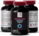 תפיסה נוספת - VISION SUPPLEMENT - מראה צלול קריסטל, בהירות עיניים, יתרון להתמקד, ראייה ממוקדת, דחיפה חזון, עדשות ברורות, סצנות מבריקות, נוף מפורט, פרטים 1 בקבוק 60 קפסולות