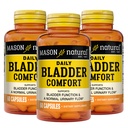 מייסון Natural Daily Bladder, 30 יום אספקה, עם Calcium, Pumpkin Seed, Soy Germ כדי לתמוך בתפקוד בלפס רגיל, 60 קפסולות (Pack of 3)