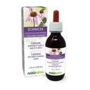 Naturalma Echinacea (Echinacea angustifolia ו purpurea) Root and Herb אלכוהול חינם Tincture - 4 oz נוזל לחלץ טיפות - Herbal - תוספת טבעונית