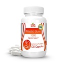 Premium Mastic Gum כמוסות - Natural Gastro מעיים תוספת, 1000 מ"ג Per המשרת - 120 קפסולות (1בק)