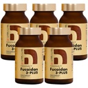Fucoidan 3Plus Brown Seaweed Immunity תוסף עם שלושה סוגים של פורה גבוהה Fucoidan אורגני Mekabu Fucus Mozuku Agaricus Made ביפן (מנהרה, 5 בקבוקים)