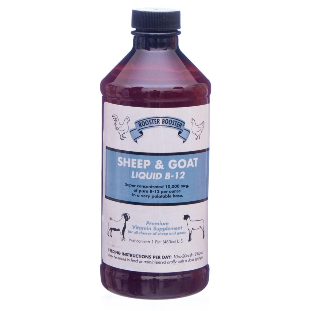 Roster Booster B-12 Sheep and Goat נוזל, 16-Ounce