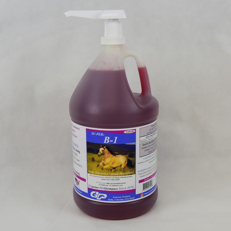SU-PER B-1 Horse Calming תוסף - Equine ויטמין B-1 תומך סוס Calmer נוזל - Appetite Booster תוספת עבור סוסים - 1 Gallon + Pump, 4 חודשים אספקת מזון