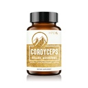 HPD Rx Premium אורגני Cordyceps Mushroom תוסף עבור אנרגיה, אנדורנס ואיממון | 2250 מ"ג, 120 קפסולות, Pack of 1