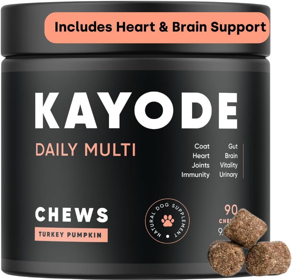 Kayode Daily Multi - כלב Multivitamin & Superfood Chew תוספת מזון לכלבים גדול גם עבור גורים.