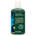 Natures Plus Ultra Rx-Joint נוזל, Honey Lemon - 30 fl oz - תומך בתפקוד משותף בריא - עם Glucosamine, Chondroitin & MSM - גלוט חינם - 30 משרתים