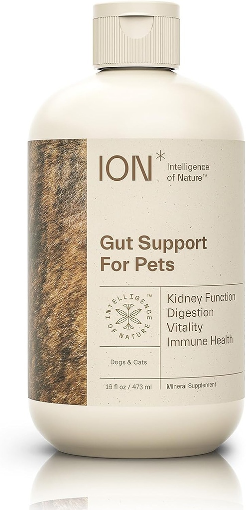 ION* האינטליגנציה של Nature Gut תמיכה עבור חיות מחמד - פרוביוטיקה נוזלית טיפות חלופיות לכלבים וחתולים, בריאות עיכול עבור Puppies, Skin & שיער בריאות - 16 oz (Pack of 1)