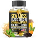 Sea Moss, Black Seed Oil, אשוגנדה, ג'ינג'ר, Shilajit Gummies with Elderberry, Chlorophyll, Turmeric Bladderwrack Sea Mos Gummies Advanced Power Formula - All in 1 Bundle - ארצות הברית Made (60 מסטיק)