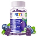 חיות מחמד Purest Glucosamine Chondroitin מסטיקמי עם MSM & Elderberry כוח נוסף - תמיכה משותפת, תמיכה אנטי-חמצן תמיכה עבור מבוגרים, גברים ונשים.60 חניכיים כחולות