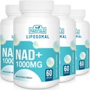 Liposomal NAD+ תוספת 1000 מ"ג | גבוה NAD פונטי | Max Absorption | Pure NAD תוסף | אנרגיה ותיקון דנ"א, הגנה, תפקוד המוח | 240 Softgels