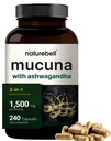 Mucuna Pruriens קפסולות, משולש כוח 1500 מ"ג פריר, 2 ב 1 פורמולה, מיוצר עם Mucuna ו Ashwagandha, 240 קפסולות, חלץ Seed לחלץ, חיובי Mood, מרגיעה ותמיכה שיקום