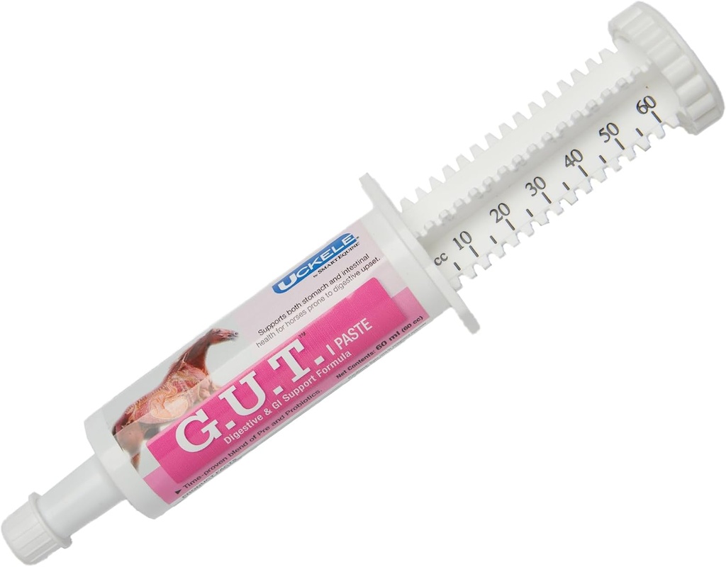 Uckele על ידי SmartEquine GutTM Paste | סוס תוספת סוס Probiotics & Prebiotics, Equine Gut Health Paste | תמיכה גסה עבור סוסים