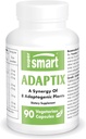SuperSmart Fitix (מתקדמים פורמולה) - 8-in-1 פלטי צמחים - Fitogen Herbs עם Ashwagandha, Astragalus, Ginseng, Reishi | Non-GMO & Gluten Free - 90 קפסולות צמחוניות