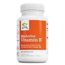 טרי BioActive ויטמין B - סיוע לבריאות הלב עם ויטמין B Bioactive - תוספת עם Folate & Calcium - B Complex ויטמין כדי לסייע למערכת העצבים - 60 קפסולות