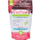 Probiotics for Dogs-Complete Gut Health & Immune Support. קל לשימוש ב- Multi-Strain Probiotics. Easier Diet Transitions, Healthier Skin & Coat & Helps Treat Diarrhea. 60 צ'יפס רך