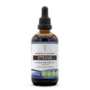 סודות השבט Stevia אלכוהול-Free Tincture (Glycerite) 653 מ"ג עשויים עם Stevia (Stevia Rebaudiana) Dried Leaf (4 Fl Oz) Blood Sugar תוסף סוכר בדם