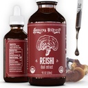 הודג'ינס קציר אורגני Reishi Mushroom לחלץ את הגוף פלט Tincture - תוספת תוספת תוספת תוספת תמצית כפולה תוסף - תמיכה בריאות הלב & בריאות - USDA אורגני Mushrooms - 4 oz
