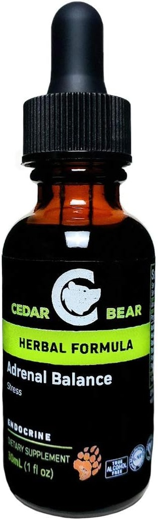 Cedar Bear Adrenal Balance - תוסף צמחי נוזלי עם אדוגנים להילחם Fatigue, לנהל מתח ולהגדיל את האנרגיה 1 oz / 30 מ"ל