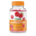 קרם מגנזיום Lifeable Calcium Magnesium Zinc עם ויטמין D3 מסטיקנים | Great Tasting Calcium Magnesium Zinc D3 תוסף | For Tooth and Bone Health