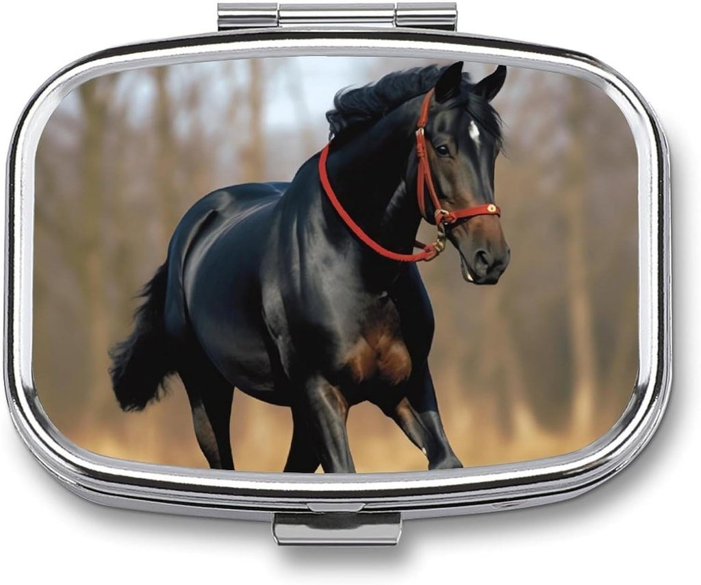 Pill Box Portable Pill Case for Pocket Horse on Lawn Travel Small Pill Organer 2 השוואת מתכת המכילה גלולות למניעת ויטמינים שמן דגים