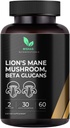 Mishas Lions Mane תוסף - אורגני Lions Mane - תמיכה לבריאות המוח - תמיכה Mushroom עבור Focus & Memory, Immune & Nervous Function System & Men - 60 קפסולות טבעוניות