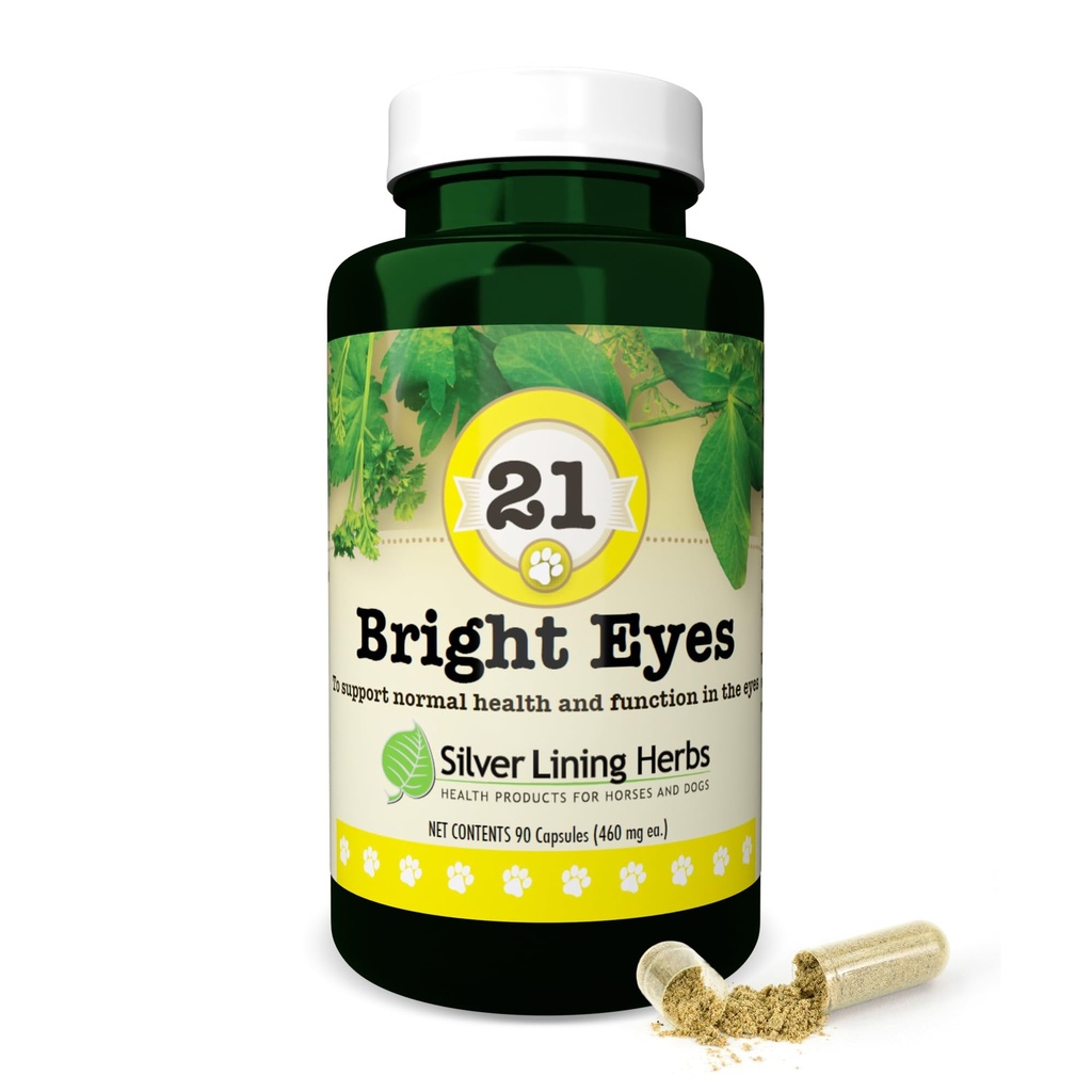 Silver Lining Herbs 21 Bright Eyes - תמיכה בבריאות העיניים של הכלב - שומר על רמות מינרלים נורמליות עבור העיניים של הכלב - עשבים טבעיים התומכים בבריאות עיניים לטווח ארוך - 90 קפסולות