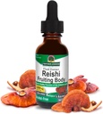 תשובתי של Nature's answer לאלכוהול חינם Reishi לחלץ את הגוף, 1-Fluid Ounce נוזל לחלץ Immune System Builder