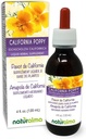 Naturalma Escholzia (Escholzia californica) Herb Alcohol-Free Tincture - 4 oz נוזל לחלץ טיפות - תוסף צמחי - טבעוני