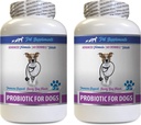 כלב גוט שיקום - ProBIOTICS for Dogs - Healthy Gut - Stop Gas Diarrhea ו- Bad Breath - Digestive Boost - כלב פרוביוטיקה אנזימים - 2 בקבוקים (120 טיפולים)