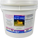 SU-PER Mag Pro Horse Calming תוסף - תמיכה התנהגות רגילה ואפקט קלמינג - תוספת מגנזיום עבור סוסים - 16 פאונד, 8 חודשים אספקה
