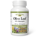 HerbalFactors by Natural Factors, אוליב 500 מ"ג, Natural Wellness Formula, 90 קפסולות
