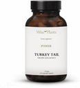 טורקיה Tail Mushroom תוספת תמצית כפולה, גוף פרי טהור, 30% פוליסקאנים, 500 מ"ג, 120 נקודות (60 יום אספקה). יכול לתמוך בתפקוד החיסון הבריא