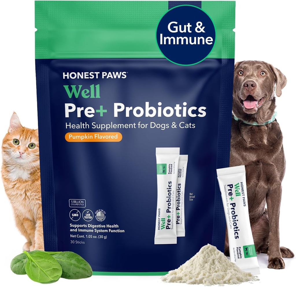 פרוביוטיקה ה Honest Paws for Dogs - Dog Digestion Gut Health Probiotic אבקת עם Prebiotic Made בארה"ב, Digestive ו- Immune Support - Enzymes with Pumpkin Flavor (30 Sticks)