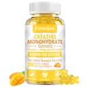 Creatine Monohydrate עם ויטמינים D3 & B12 | סוכר חינם hydrolyzed Collagen & Creatine חניכיים