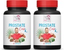 ראה תוסףפאלטו - Prostate Support PILS - רכיבים טבעיים, Saw Palmetto, Sting Nettle Leaf, Maitake Mushroom, Reishi, Shiitake, Prostate Support Supplement for Men, 2 בקבוקים 120 Caps 120 Caps Caps