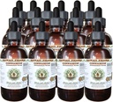 Cinnamon Alcohol-Free Extract, Cinnamon (Cinnamomum Verum) Dried Bark Glycerite הוואי Pharm טבעי צמחייה 15x4 oz