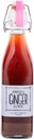 אנני'ס ג'ינג'ר אלקסייר, 17oz 1-Pack, Pure Natural Organic טוניג'ינג'ר שוטה, Creativese Boosts Immune Defense, Daily Gut Health and Wellness, Non-GMO Beverage